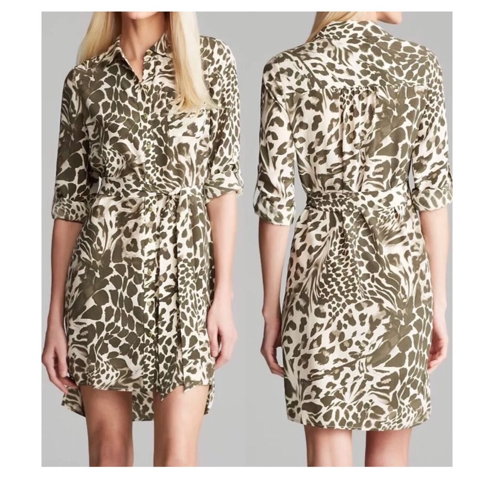 Chic Diane Von Furstenberg Leopard Print Dress